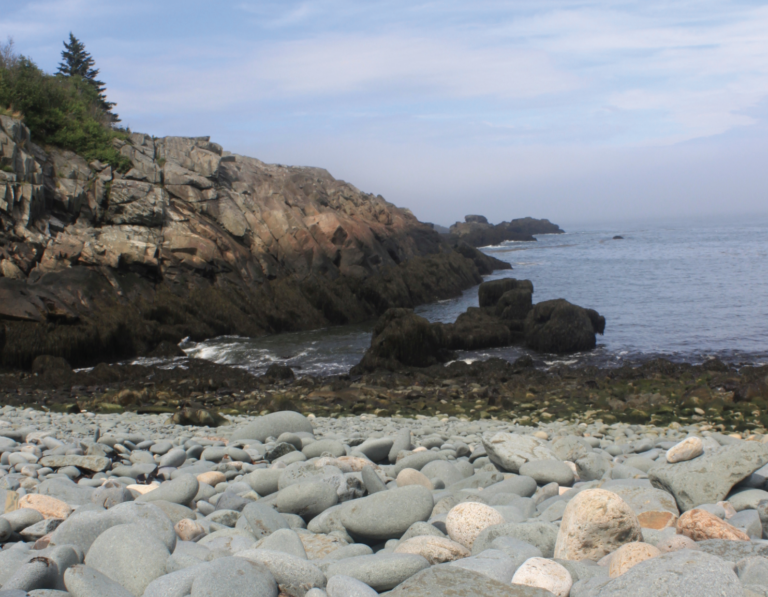Explore Maine’s Coast