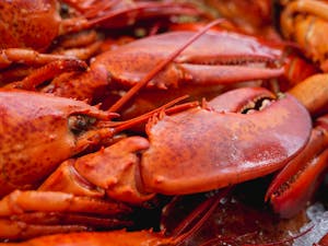 Freshly cooked vibrant red lobsters, highlighting their textures and quality seafood appeal.