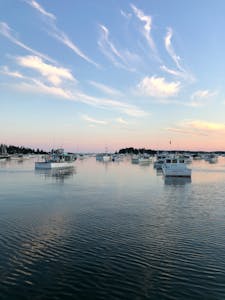 Many modern yachts moored on tranquil rippling sea in nature beneath clear blue sky in twilight
