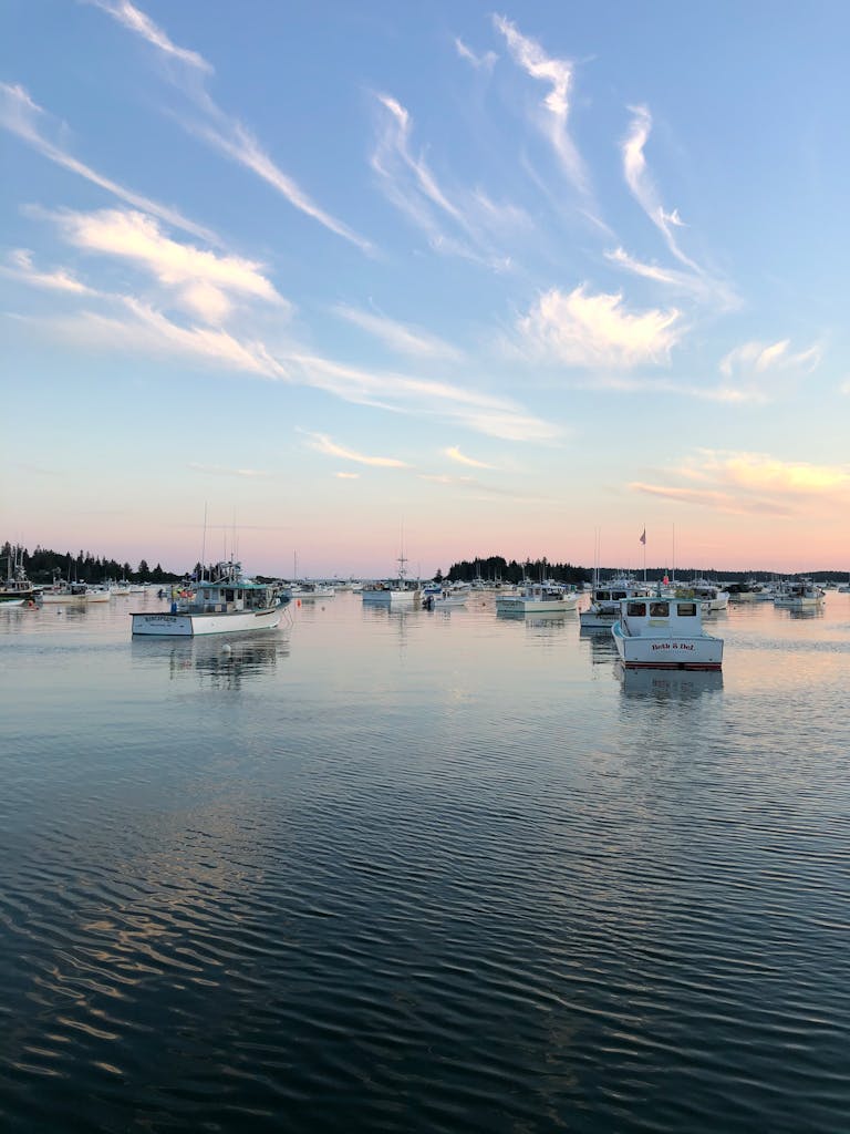 Many modern yachts moored on tranquil rippling sea in nature beneath clear blue sky in twilight