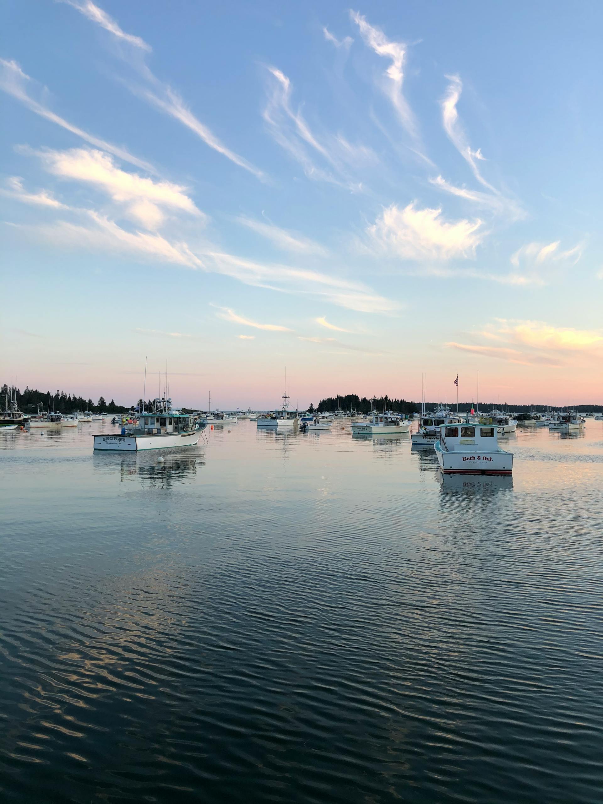 Many modern yachts moored on tranquil rippling sea in nature beneath clear blue sky in twilight